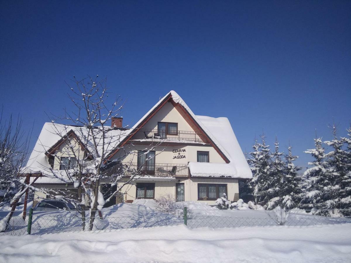 Czarna Jagoda Czarna Góra Exterior foto